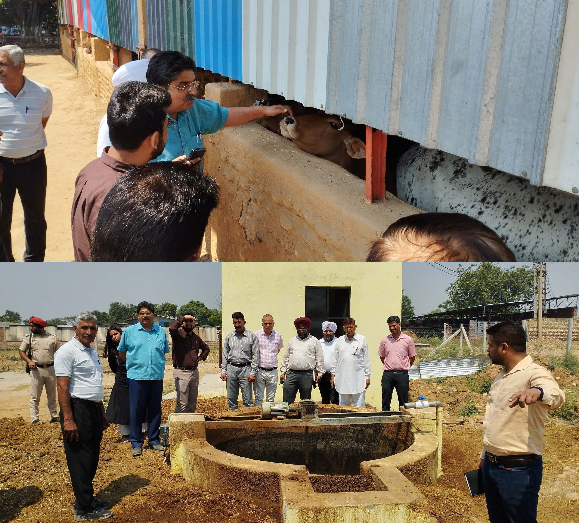 Deputy Commissioner Navjot Pal Singh Randhawa visited the biogas plant built at Chandpur Roorkee Gaushala.